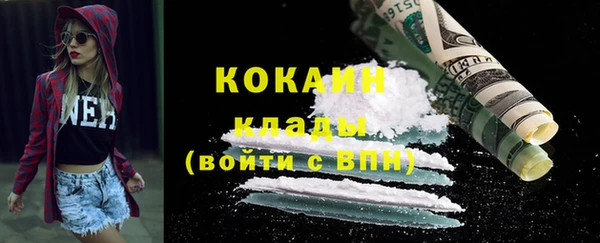 стаф Коряжма