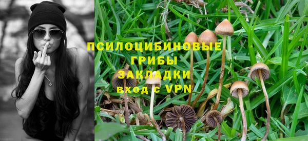 СК Костерёво