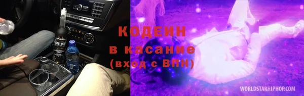 стаф Коряжма