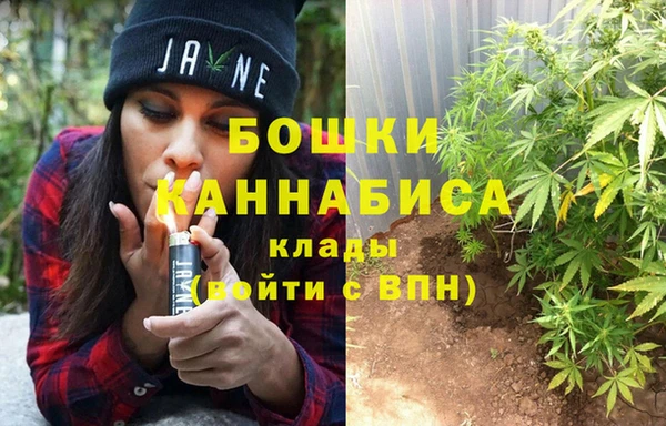 шишки Куйбышев