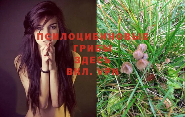 марки nbome Кулебаки