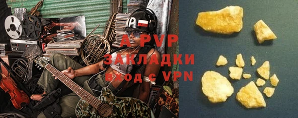 стаф Коряжма