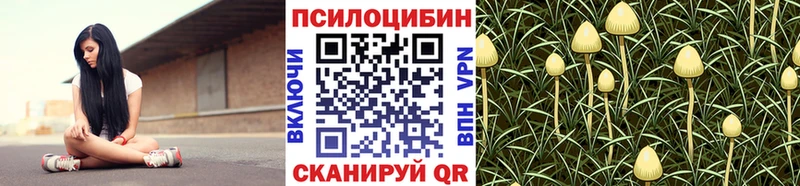 ОМГ ОМГ зеркало  Кудымкар  Галлюциногенные грибы ЛСД 